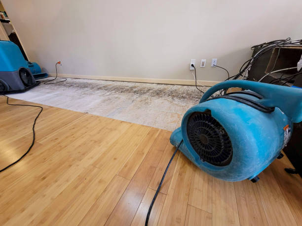 Professional Emergency Water Damage technician working in Ganado, AZ